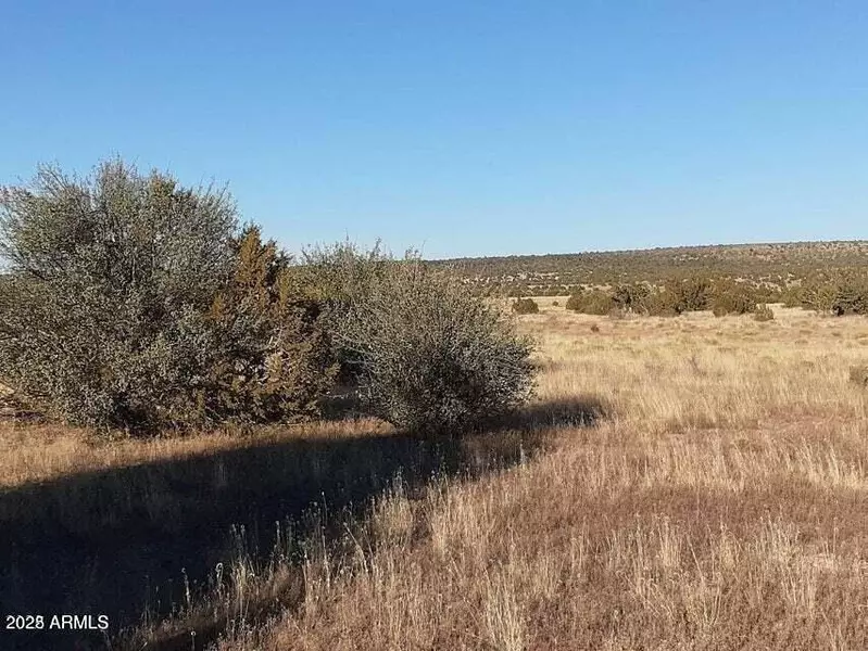 602 DENNY 5 Road #-, Seligman, AZ 86337