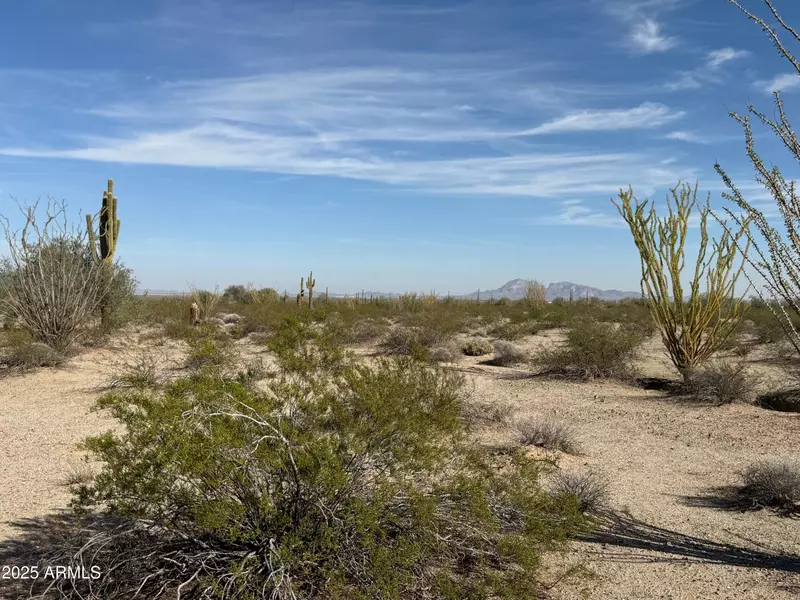 1275 N 557th Avenue #128, Tonopah, AZ 85354