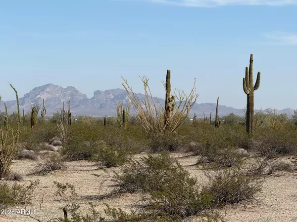 Tonopah, AZ 85354,1180 N 557th Avenue #-