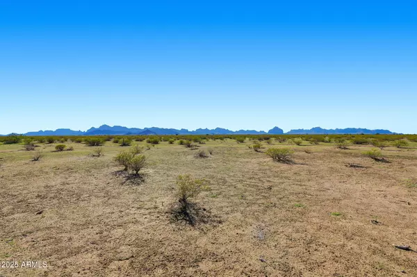 Tonopah, AZ 85354,0 W CLARENDON -- #115