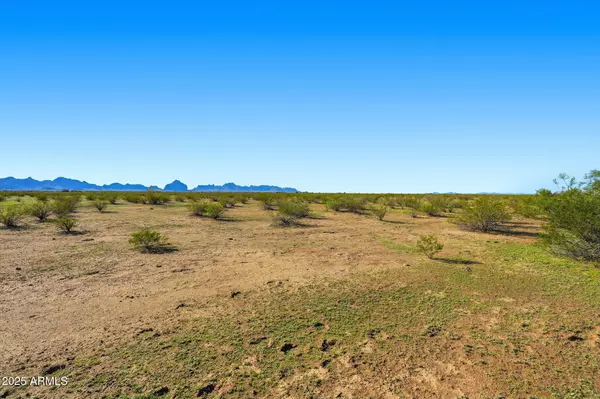 Tonopah, AZ 85354,0 W CLARENDON -- #115