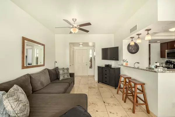 Scottsdale, AZ 85258,9711 E MOUNTAIN VIEW Road #2514