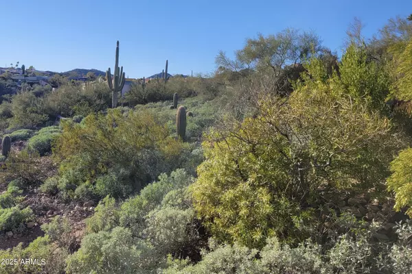 Fountain Hills, AZ 85268,15911 E Burro Drive