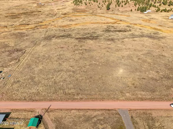 Alpine, AZ 85920,23 The Ranch at Alpine -- #23