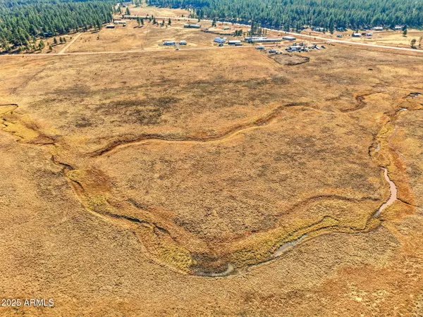 Alpine, AZ 85920,23 The Ranch at Alpine -- #23