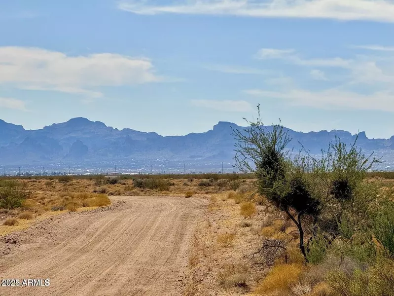 Santa Cruz Rd 38.79 Acres -- #-, Golden Valley, AZ 86413