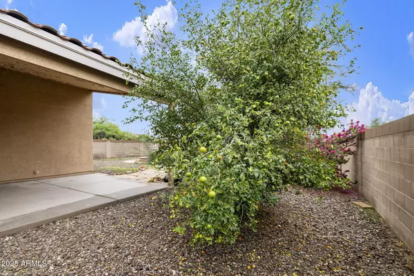 Surprise, AZ 85374,14719 W Ely Drive