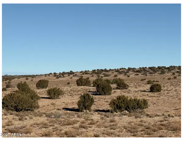 Williams, AZ 86046,10381 High Butte Drive #-