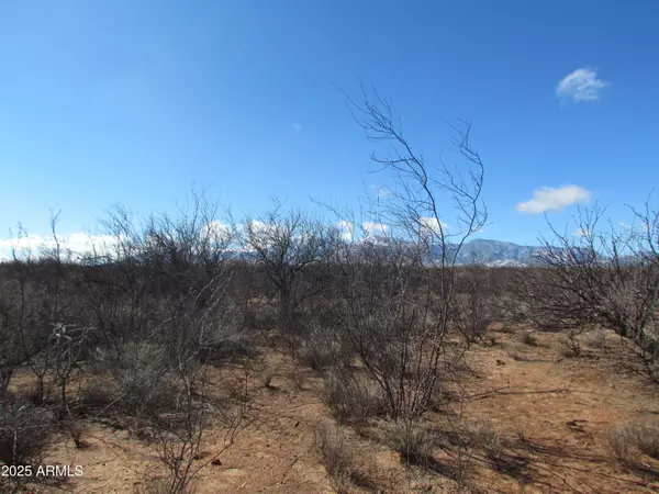 Sierra Vista, AZ 85635,7320 E BRUMBY Lane #4E