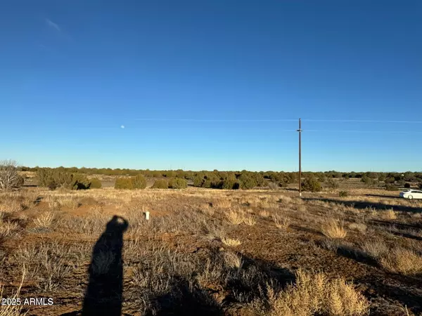 0 White Mountian Lake Road #G, Show Low, AZ 85901