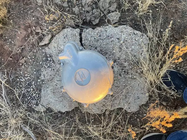 Show Low, AZ 85901,0 White Mountian Lake Road #G