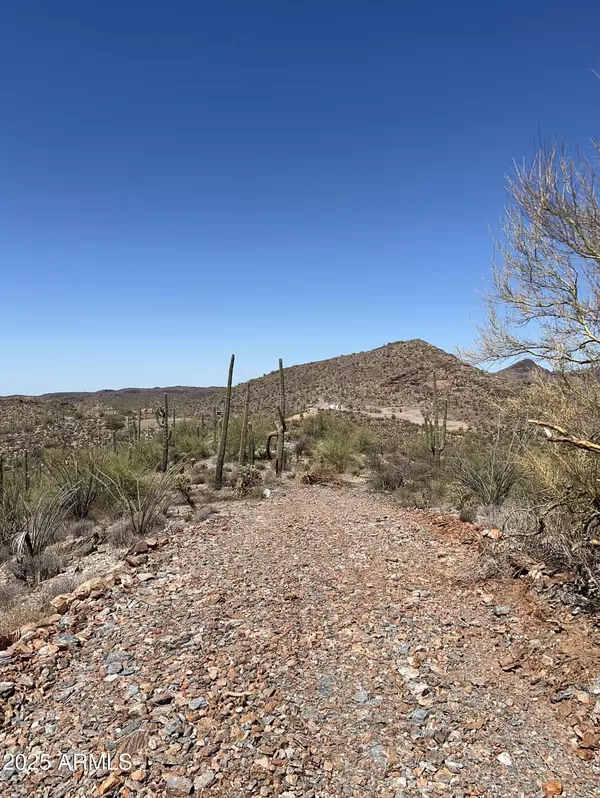 Queen Valley, AZ 85118,11 S Hardt Tank S lot 4 Road #-