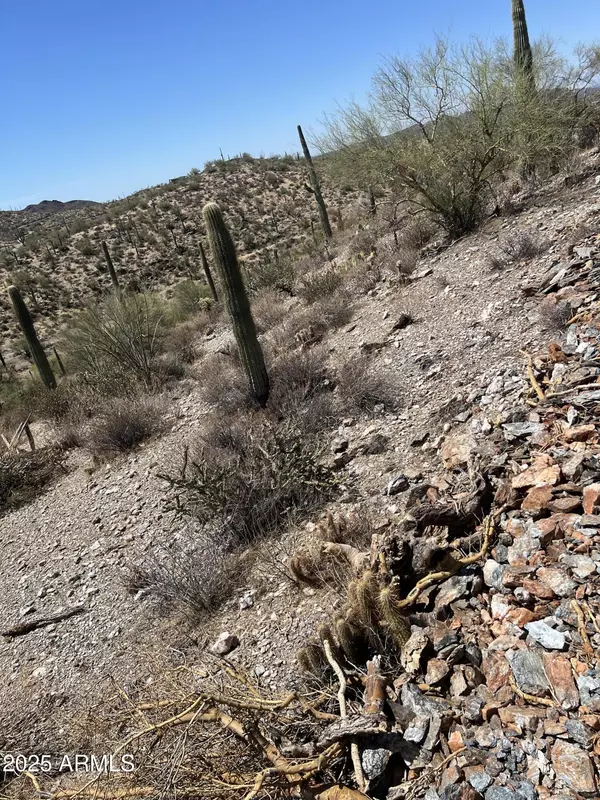 11 S Hardt Tank S lot 4 Road #-, Queen Valley, AZ 85118