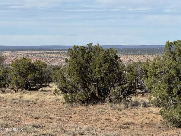 St Johns, AZ 85936,62 Sierra Highlands Ranch -- #62