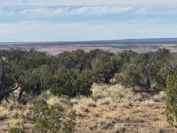 St Johns, AZ 85936,62 Sierra Highlands Ranch -- #62