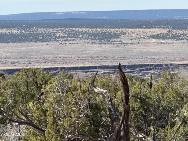 St Johns, AZ 85936,62 Sierra Highlands Ranch -- #62