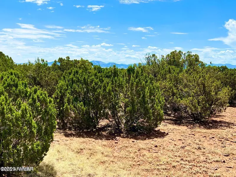 85 Co Rd 8070 -- #-, Concho, AZ 85924