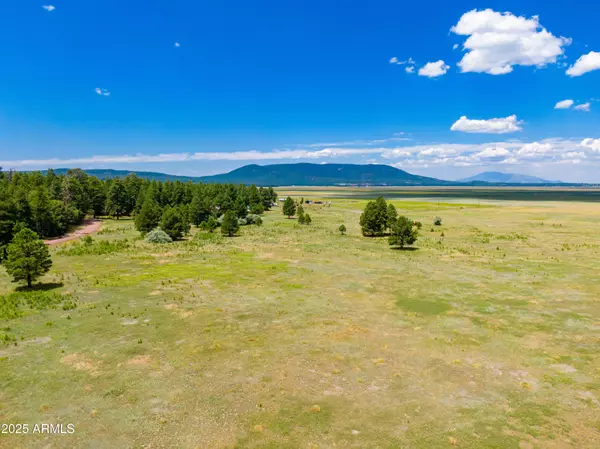 Mormon Lake, AZ 86038,401 Lake Shore Drive #-