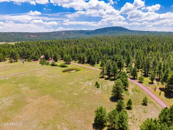 Mormon Lake, AZ 86038,401 Lake Shore Drive #-