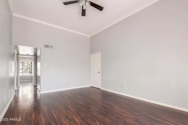 Scottsdale, AZ 85251,3600 N HAYDEN Road #3204