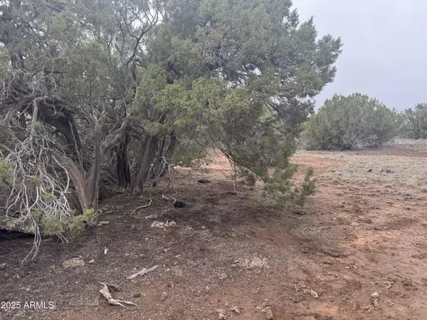 Concho, AZ 85924,24 ACR 8051 -- #2355