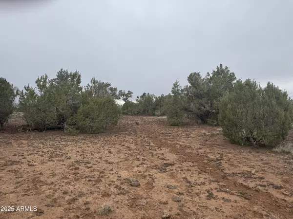 Concho, AZ 85924,24 ACR 8051 -- #2355