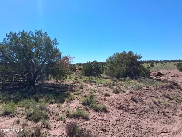 Concho, AZ 85924,212 County Rd N9226 -- #-