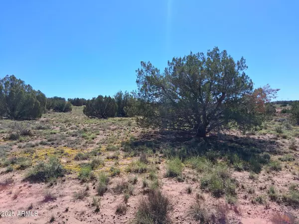 Concho, AZ 85924,212 County Rd N9226 -- #-