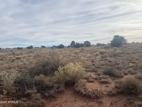 Williams, AZ 86046,3147 E SILVER VALLEY Road #391