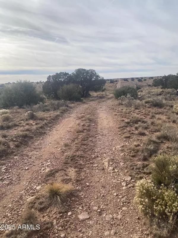 Williams, AZ 86046,3147 E SILVER VALLEY Road #391