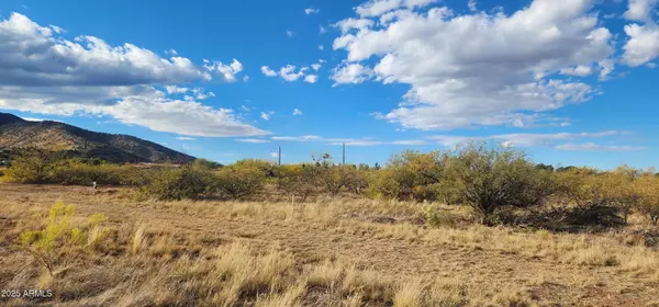 Hereford, AZ 85615,Stickler -- #A