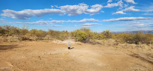 Hereford, AZ 85615,Stickler -- #A