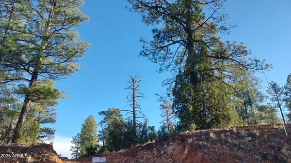 Overgaard, AZ 85933,1915 AZ-260 -- #178