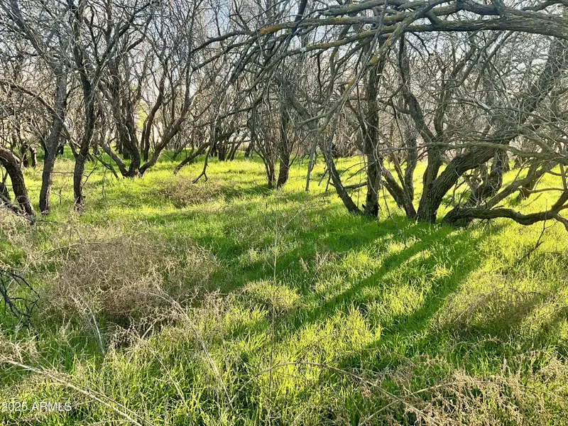 36 Caitlin Lane #036L, Cottonwood, AZ 86326