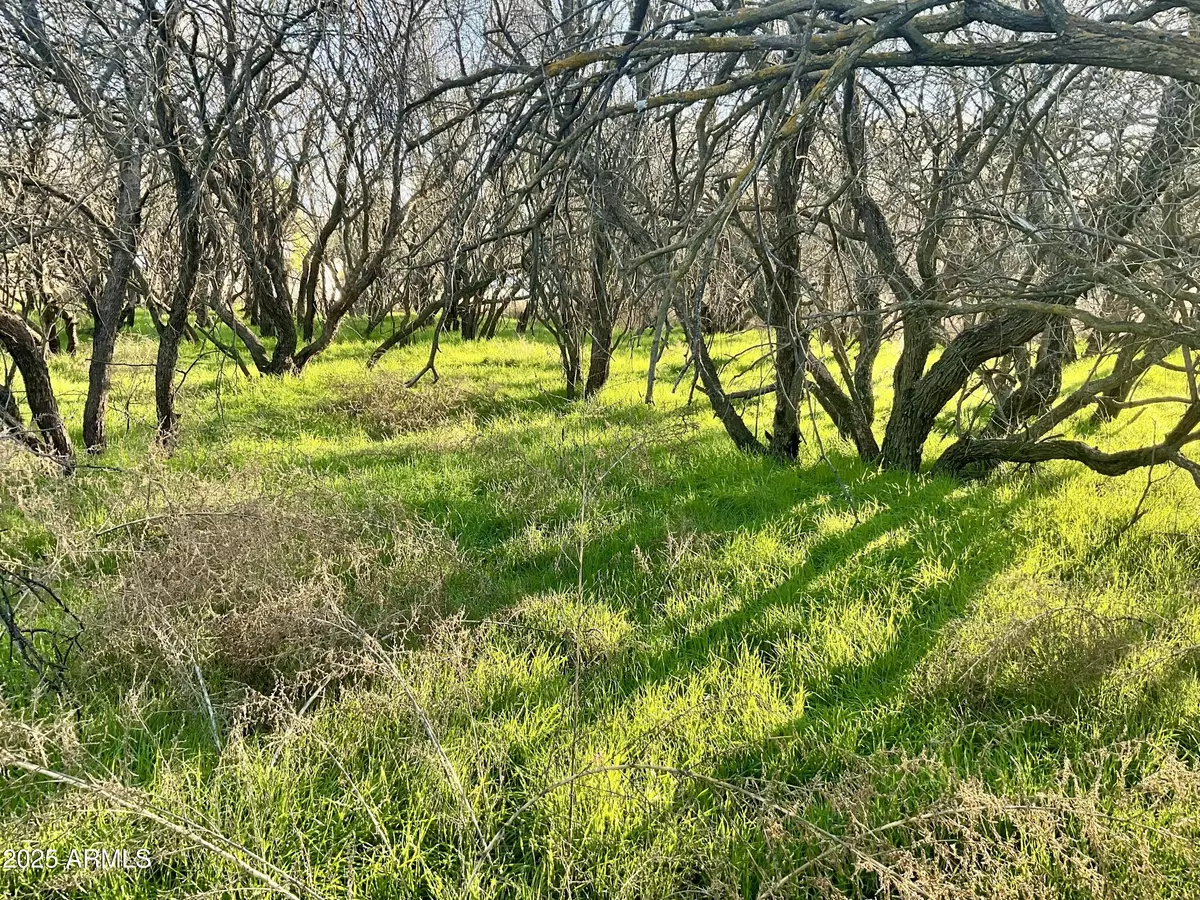 Cottonwood, AZ 86326,36 Caitlin Lane #036L