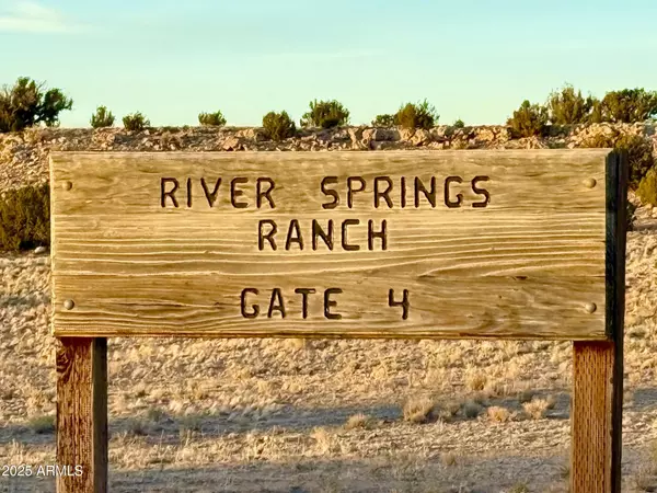 St Johns, AZ 85936,Co Rd N6422 36.22 Acres -- #-