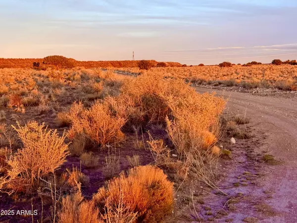 St Johns, AZ 85936,Co Rd N6422 36.22 Acres -- #-