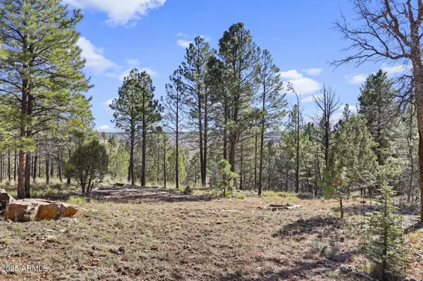 Happy Jack, AZ 86024,900 EAGLE VIEW Drive