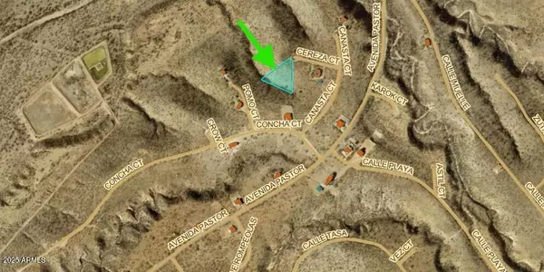 Rio Rico, AZ 85648,249 Cereza Court #-