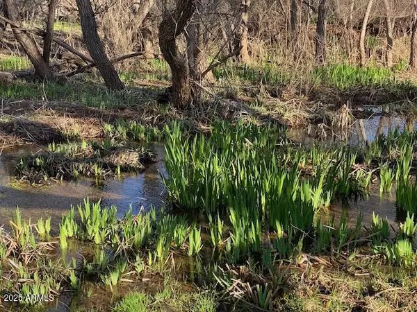 Payson, AZ 85541,0 S Tonto Creek Drive #391