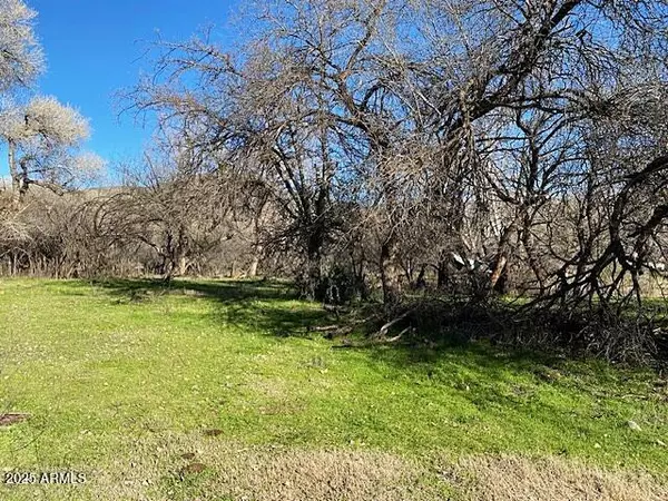 Payson, AZ 85541,0 S Tonto Creek Drive #391