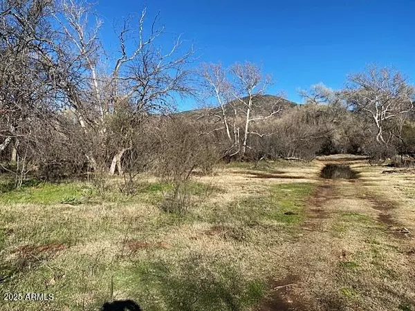 Payson, AZ 85541,0 S Tonto Creek Drive #391