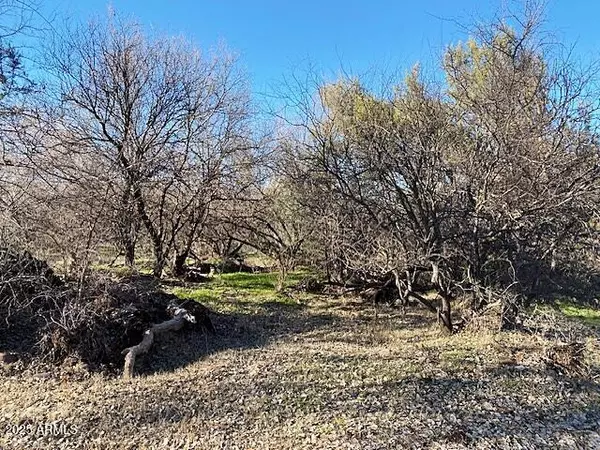 Payson, AZ 85541,0 S Tonto Creek Drive #391