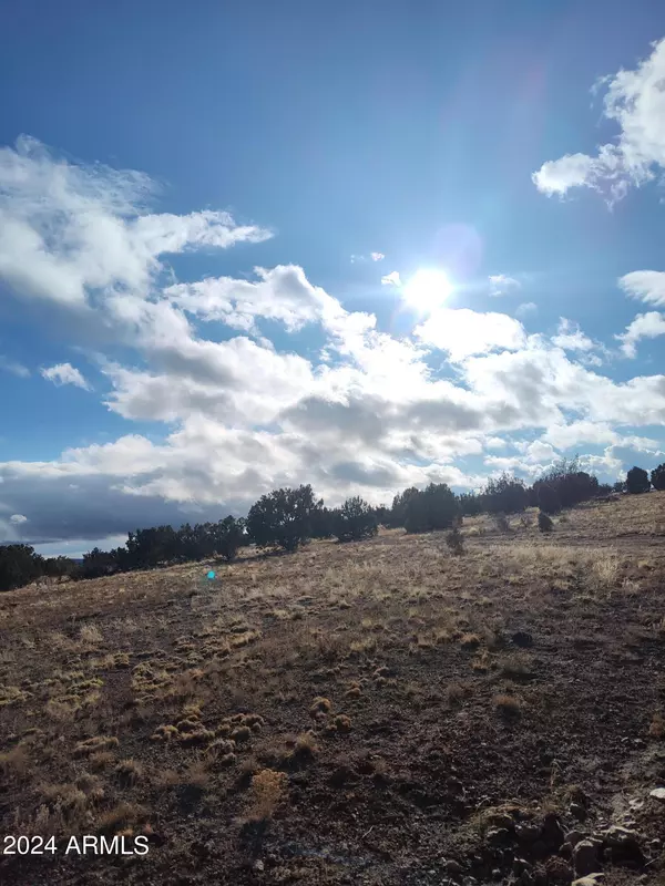 Ash Fork, AZ 86320,0 Bullock Road #53