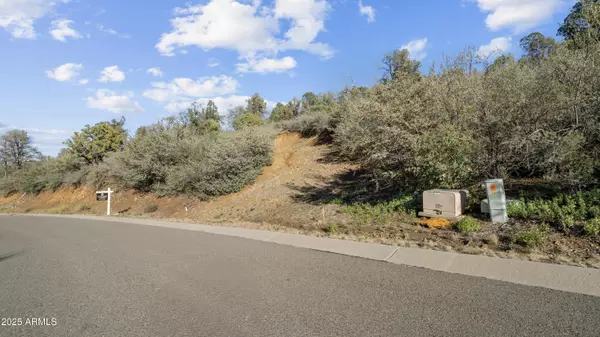 Prescott, AZ 86303,513 SLEEPYHOLLOW Circle #787