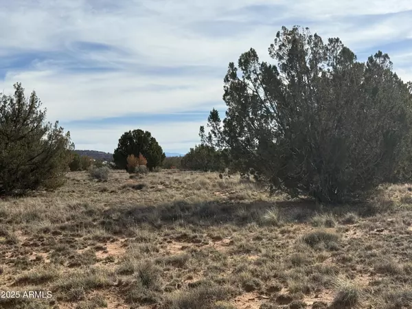 Snowflake, AZ 85937,3868 CLYDE Road #-