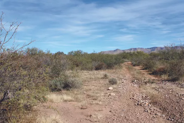 Pearce, AZ 85625,10 E Roadrunner Lot D Lane #D