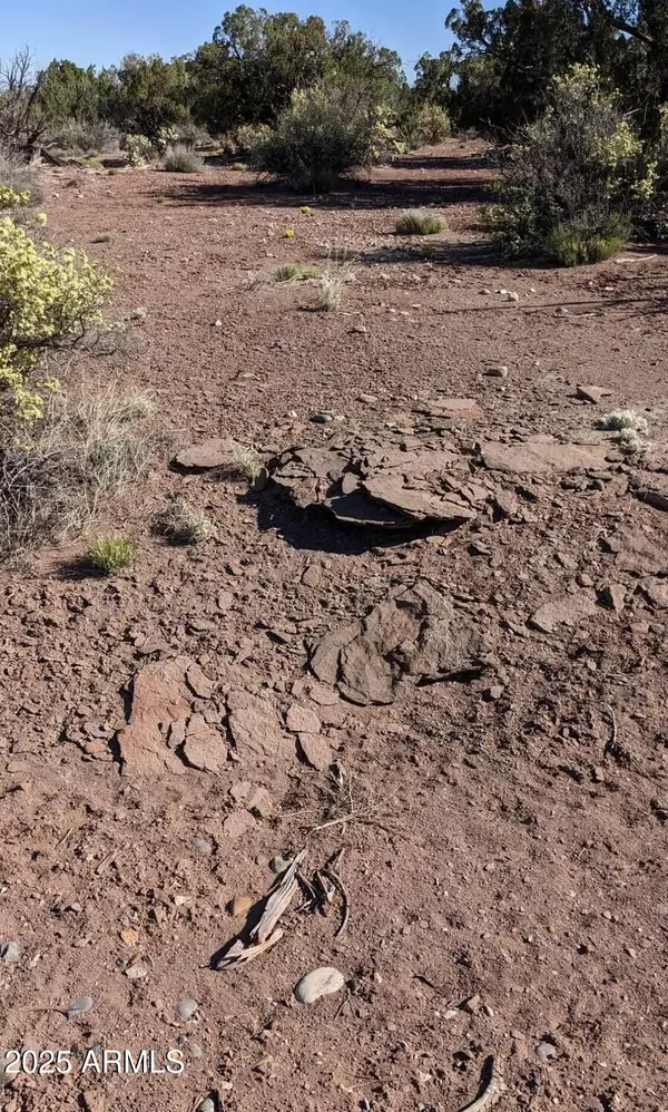 Snowflake, AZ 85937,4266 BUNKHOUSE Road #6