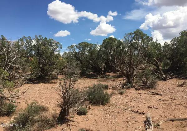 Snowflake, AZ 85937,4266 BUNKHOUSE Road #6