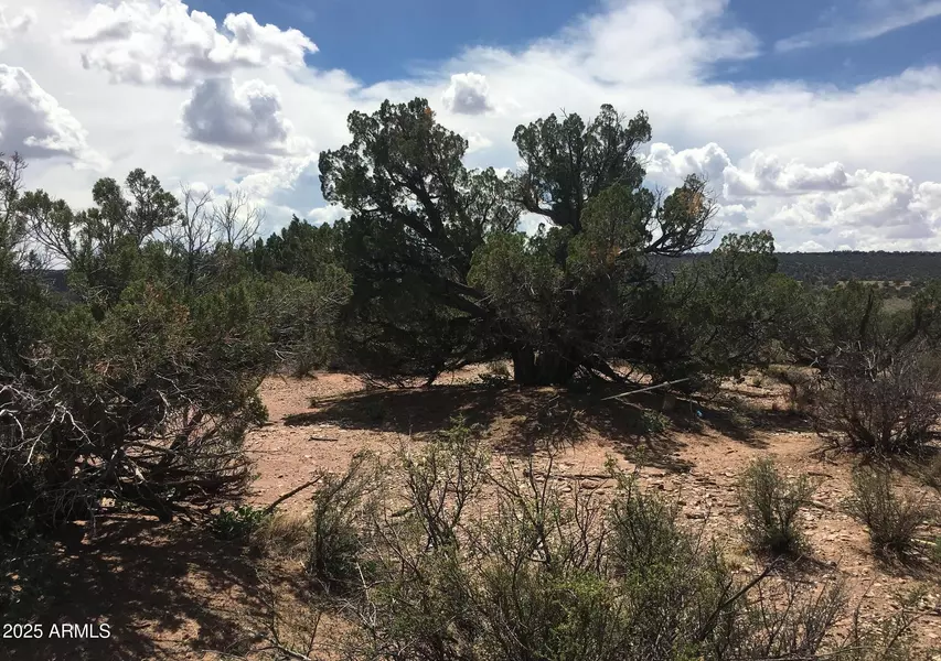 4266 BUNKHOUSE Road #6, Snowflake, AZ 85937